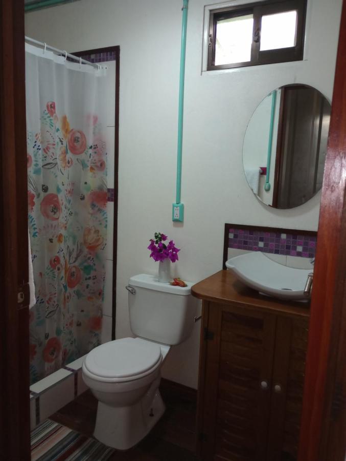 Container House Cahuita酒店 外观 照片