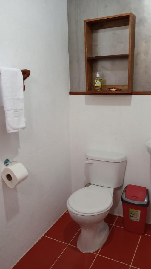 Container House Cahuita酒店 外观 照片