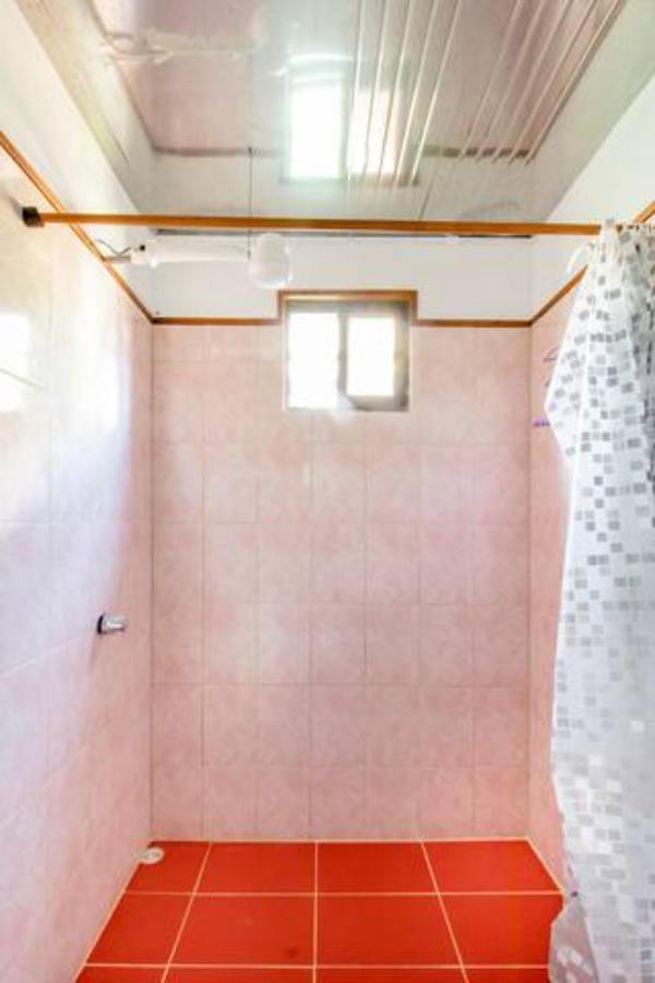 Container House Cahuita酒店 外观 照片